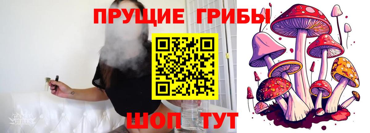 Подольск  Галлюциногенные грибы прущие грибы  Псилоцибиновые грибы Psilocybine cubensis  Вход с VPN 
