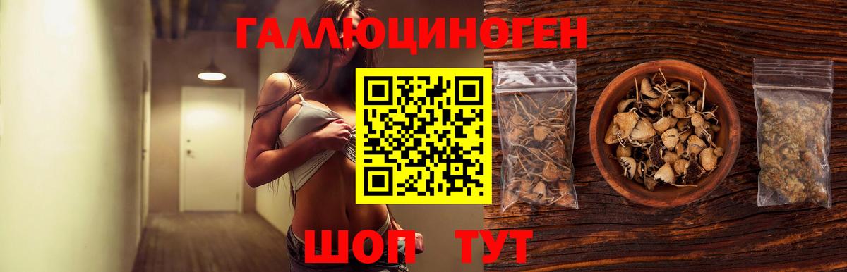Псилоцибиновые грибы мицелий Подольск